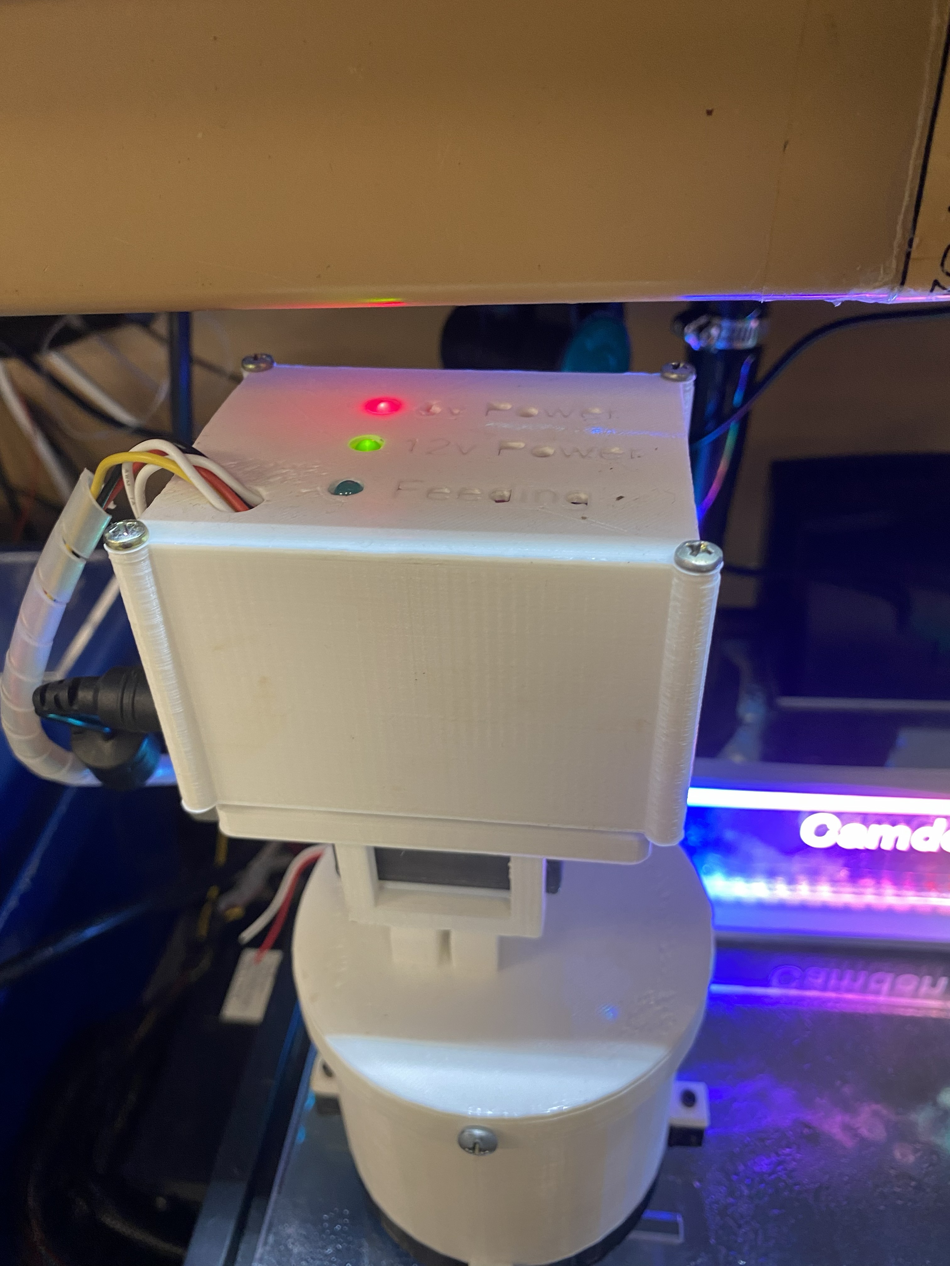 Automatic Fish Feeder